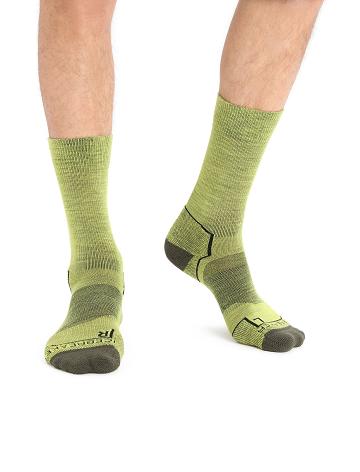 Shine / Loden Icebreaker Merino Hike+ Light Crew Men's Socks | AU 1040HAPK